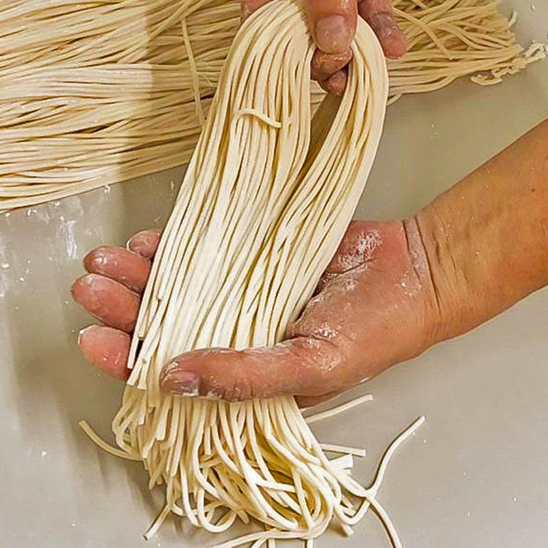 Thick Noodles 粗麵條